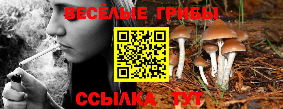 Галлюциногенные грибы GOLDEN TEACHER  даркнет сайт  Псилоцибиновые грибы Psilocybe  Сергиев Посад  Вход с VPN 